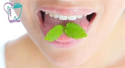 Bad Breath