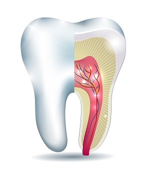 یک دکتر عصب کشی خوب چه ویژگی هایی دارد؟